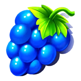 pic_04_grapes